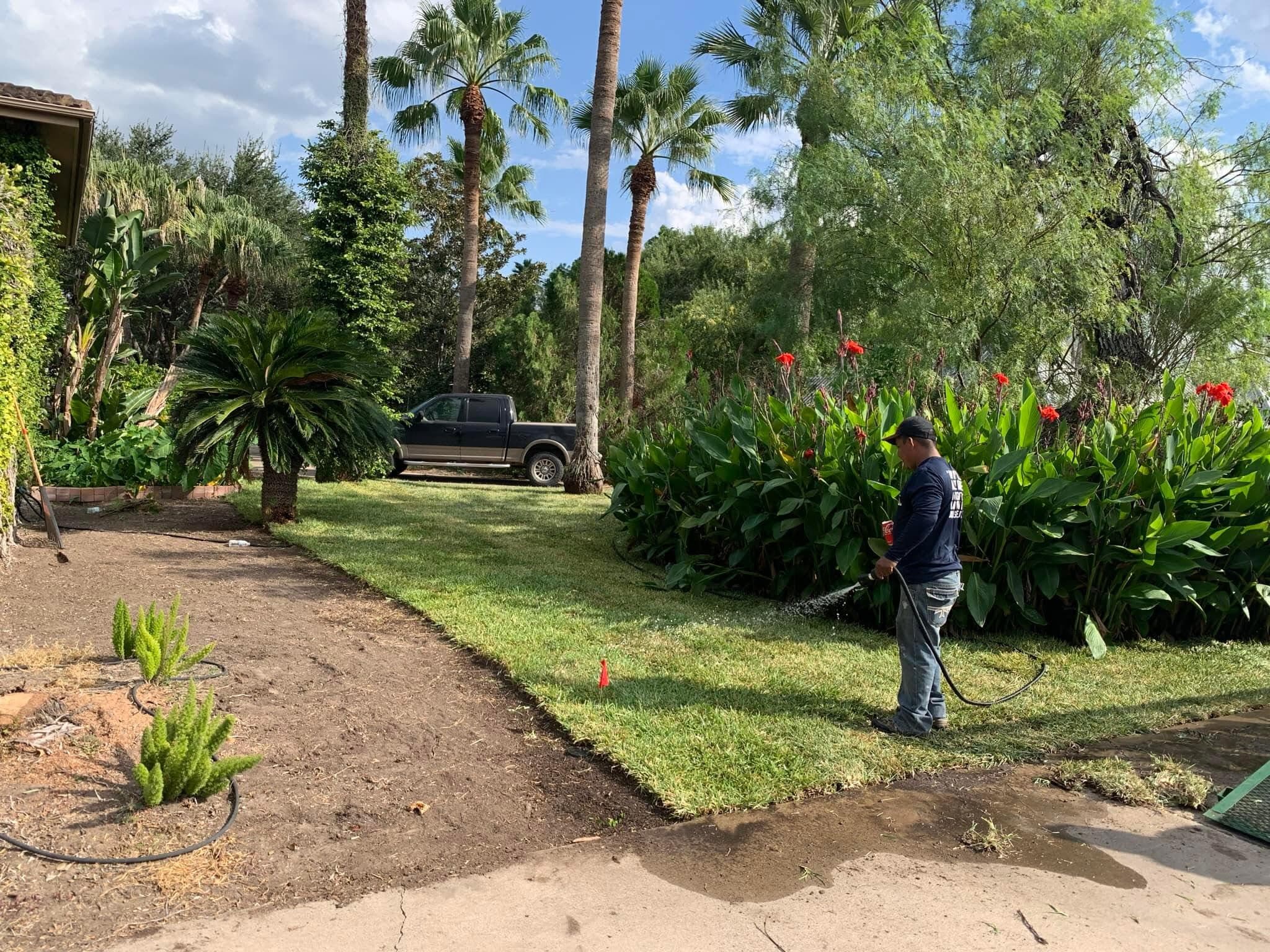 Full landscape installation with layered planting