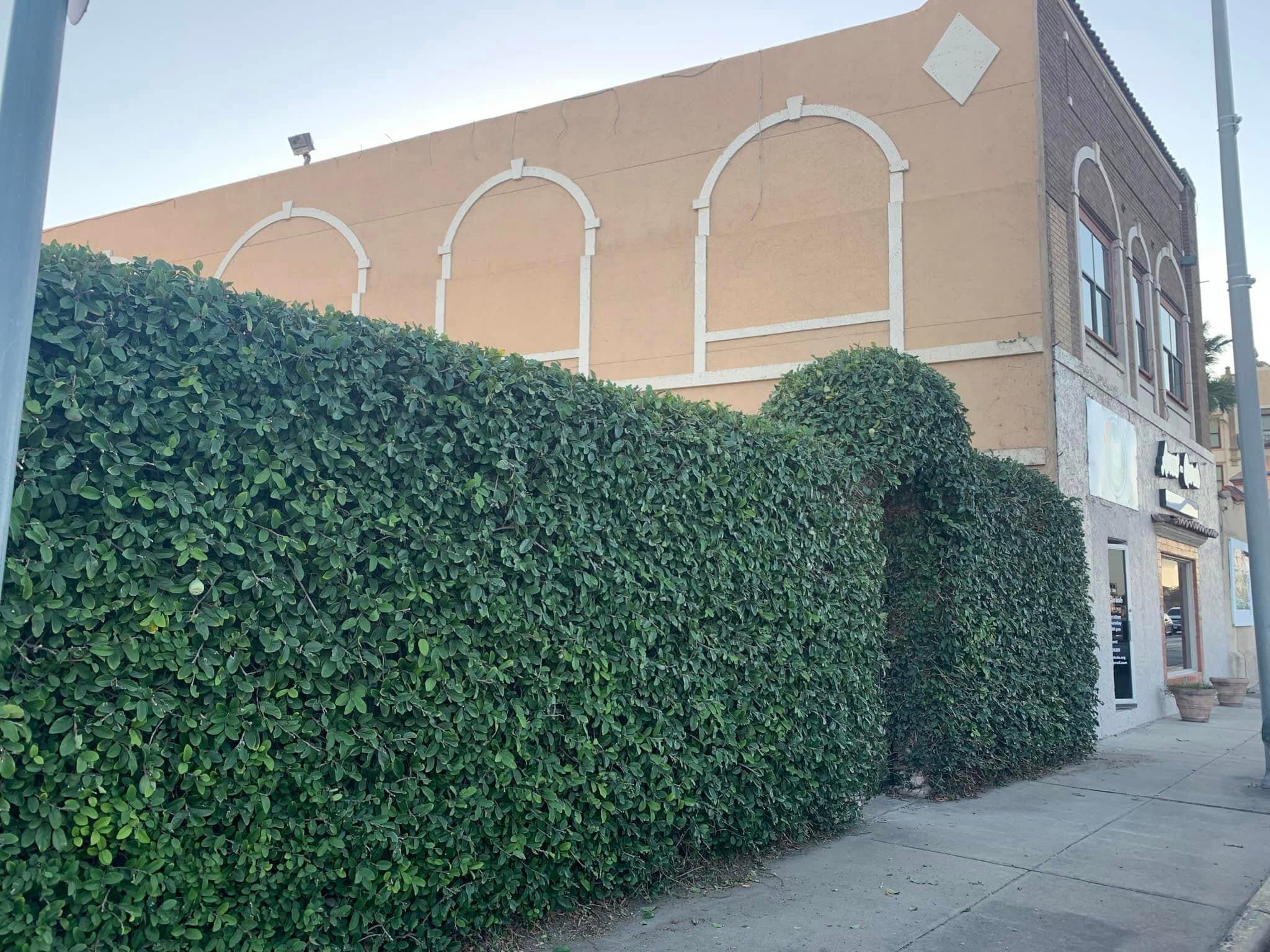 Sculpted hedging and grounds care along a commercial property